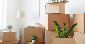 temporary relocation during renovation